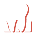 Zahnarzt Schwalmtal-Lobberich - Parodontitis